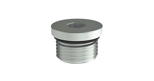 6408 Male Oring Hollow Hex Plug