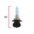 REPLACES LOW BEAM BULB -REPLACES BOSS #MSC11106